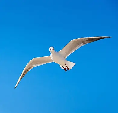 Welcome To Day One of Twack's Blog.